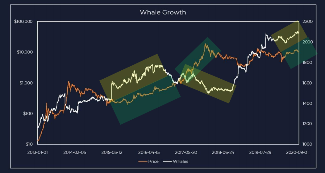 Bitcoin whale vs. price growth trends