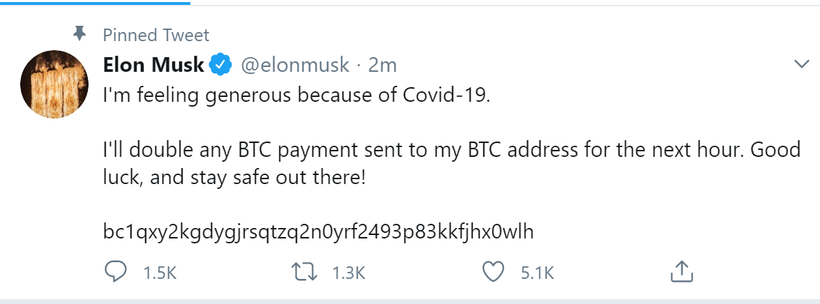 Elon Musk’s hacked crypto account